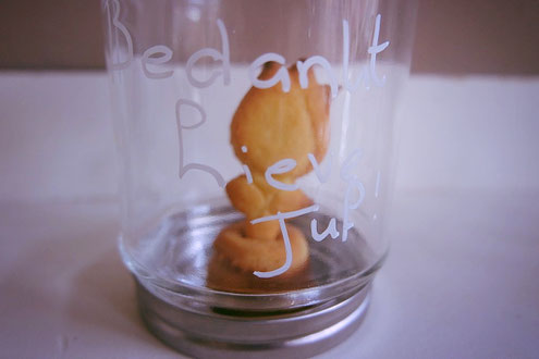 Bedankt juf / meester; 3d koekjes; koekje in een pot;