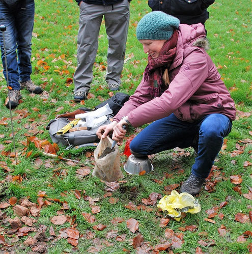 Vorträge und Workshops - Boden und Baum - Bodenuntersuchung für Bäume