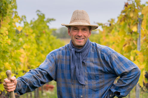 winzer im weinberg, weinreben, weinstöcke, lachender winzer