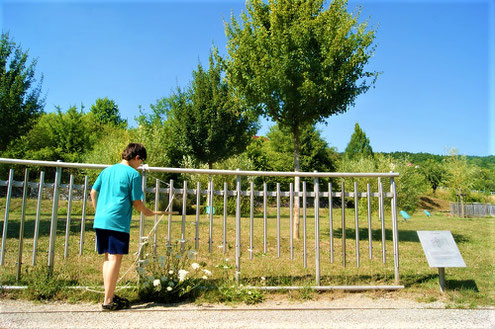 Musizieren im Gesundheitsgarten Retzbach