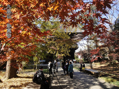 浄真寺は、もともとは世田谷吉良氏系の奥沢城であった。延宝六年（1678）徳川幕府より奥沢城跡地を賜り創建。