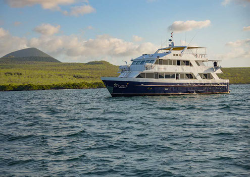 M/S Samba Galapagos Kreuzfahrt Floreana Isabela Santa Fé