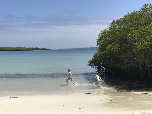 Galapagos Inseln mit der ganzen Familie