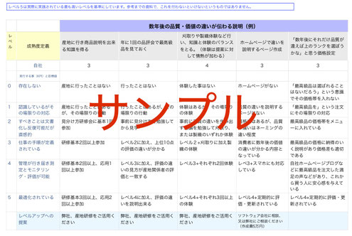 成功要因をレベル分けした図