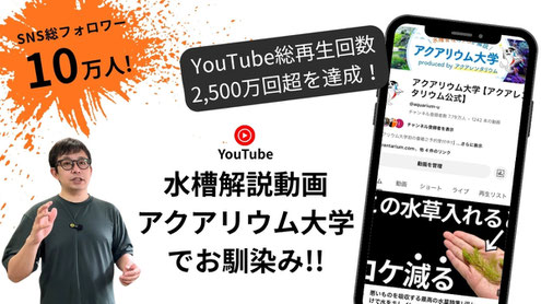 水槽素材はアクアレンタリウムの公式オンラインショップです