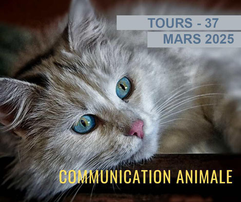 Communication Intuitive avec les animaux tours, brigitte ballard - annuaire des therapeutes via energetica