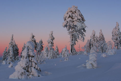 Erzgebirge, Landschaft, Winter, Erzgebirgskamm, Winterwald, kalt, abends, "Andreas Hielscher Fotografie", Naturwelten
