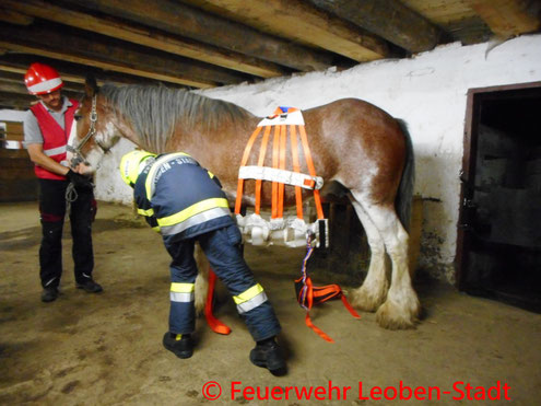 © Freiwillige Feuerwehr Leoben-Stadt