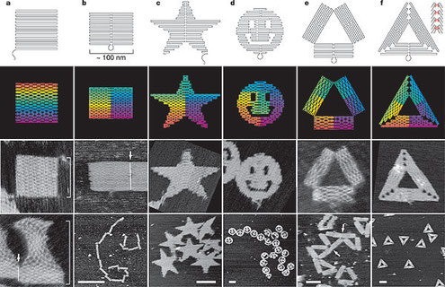 © 2006 Nature Publishing Group  Folding DNA to create nanoscale shapesand patterns (PWK Rothemund)