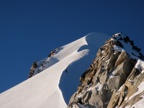 Biancograt mit Bergführer, biancoridge with mountainguide, Piz Bernina, geführte Tour Biancograt