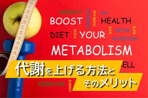大阪のパーソナルトレーニング　パーソナルジム　代謝を上げる方法とメリット