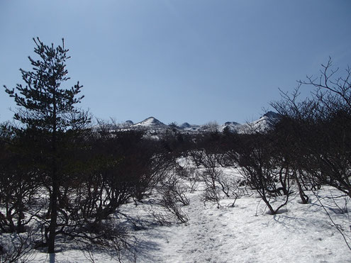 勢至平より安達太良の山々