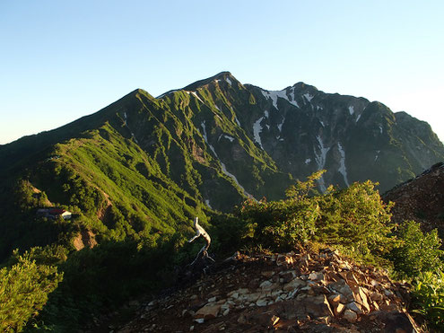 朝日浴びる鹿島槍ヶ岳