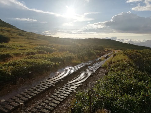 雨あがりの太郎平