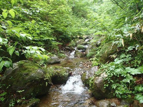 金山沢