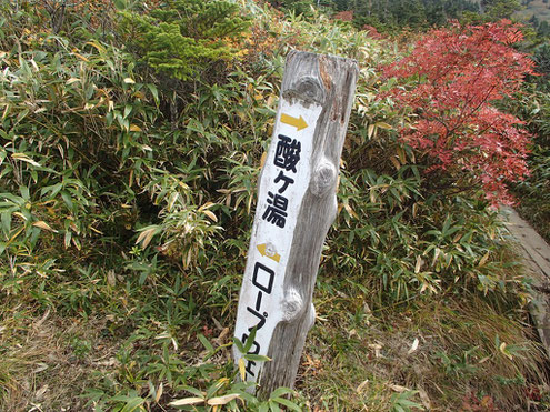 酸ヶ湯とロープウェイの分岐