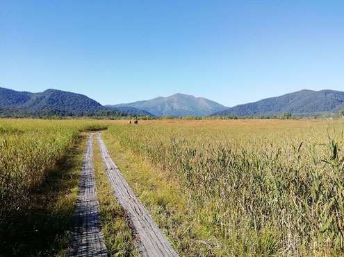 中田代から至仏山