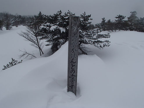 「ほんとの空」の道標