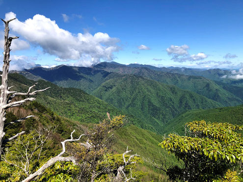 甲武信ヶ岳方面