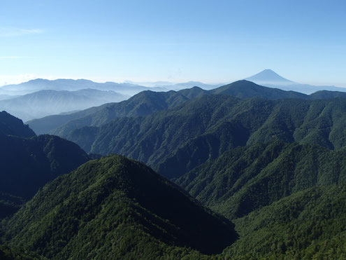 両門の頭から富士山