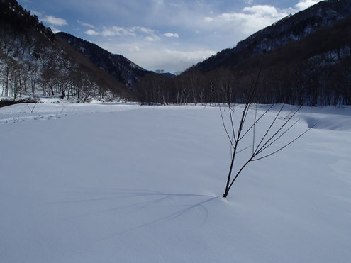 湯檜曽川の雪原