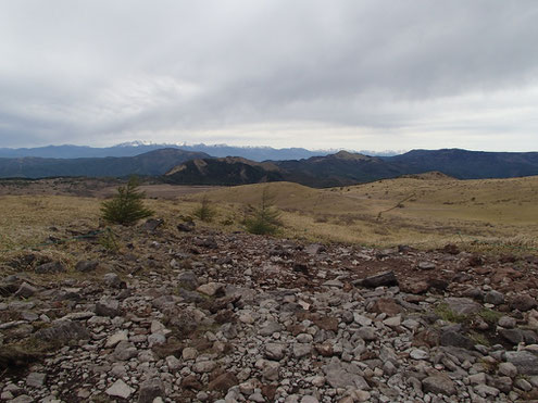 蝶々深山山頂