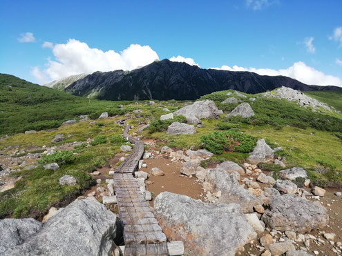 キャンプ場の分岐より水晶岳(黒岳)