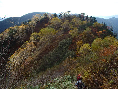 紅葉の道を行く