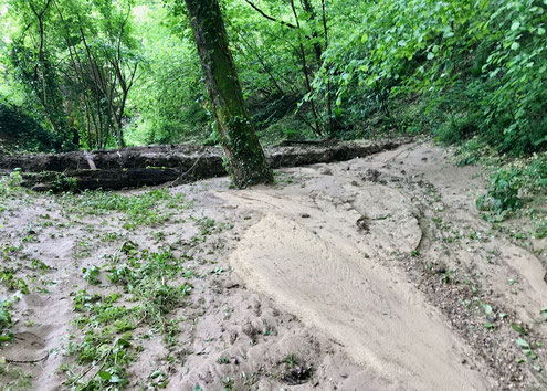 Retenue comblée par la coulée de boue de l'orage. Le gabion retient un volume important de terre qui n'a pas ruisselé vers le village. Après chaque coulée de boue, il faut exporter les matériaux pour récupérer une capacité de retenue.