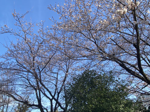 北斗　精密金属加工　板金加工　群馬　プレス　NC ５G　６G　基地局　アンテナ　電源　EV充電　インフラ