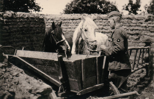 THE FRONT - Military History - Start of the German Summer Offensive in Russia in June 1942