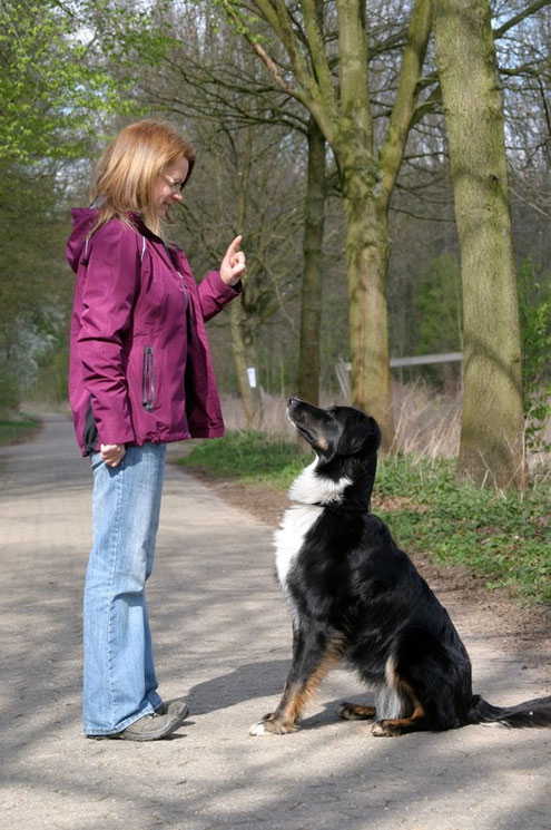 Hundeschule in der Nähe Mönchengladbach Viersen Krefeld Welpenkurs Hundeausbildung
