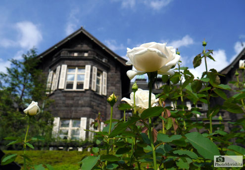 洋館と庭園のバラ　　2017年10月撮影