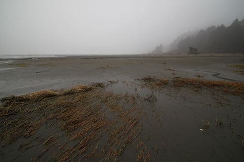 The beach at Grenville Bay, north of Moclips, was the filming location for the car chase of John Wayne's "McQ".