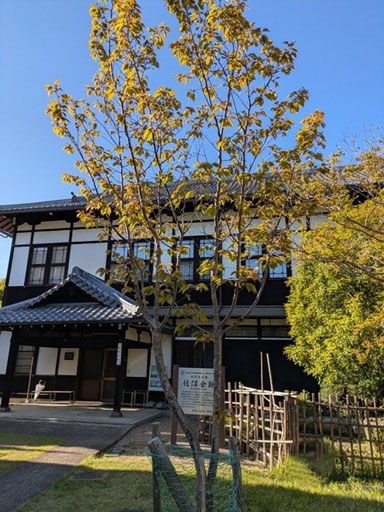 2023年春 記念館と満開の桜