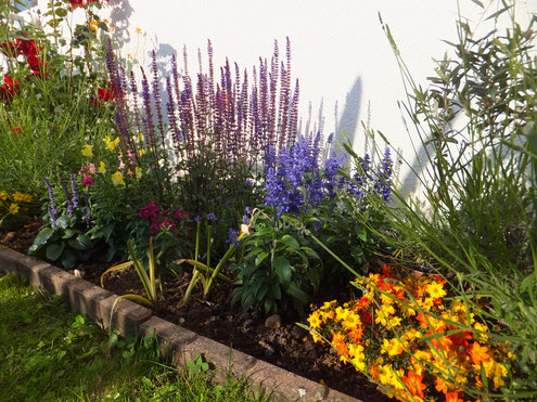 Bienenecke im Garten (Foto D. Mohr)