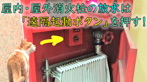 消火栓ボックスの中にある遠隔起動ボタン