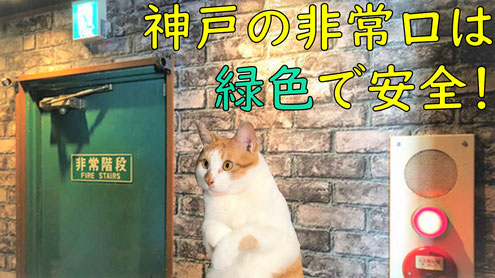 避難口へ通ずる出口は緑色