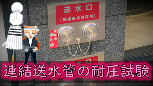 上:耐圧試験が必要な連結送水管の送水口、下:スプリンクラー設備の送水口