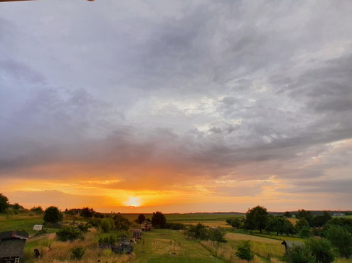 Ausblick von der Terrasse ins Grüne