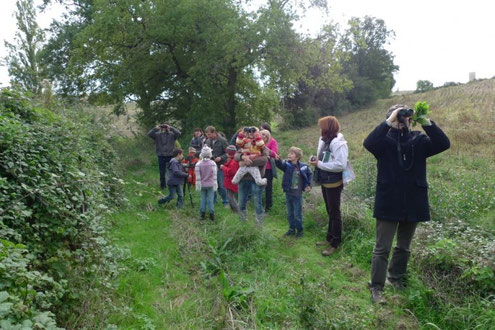 Balade autour du village avec observation d'un Milan royal