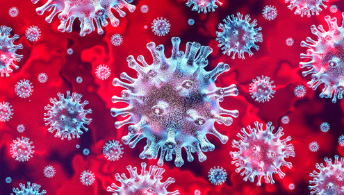 lutte contre le coronavirus covid 19
