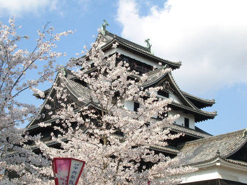 国宝松江城