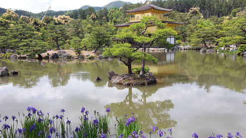 Japanischen Tempel mit Teich, Kiefern und Wasserlilien (Foto D. Mohr)