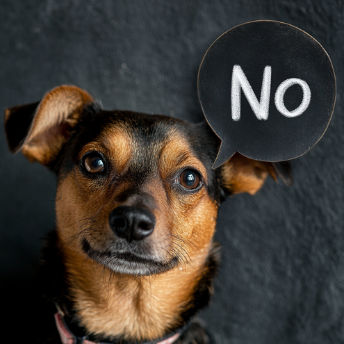 Hund sagt No