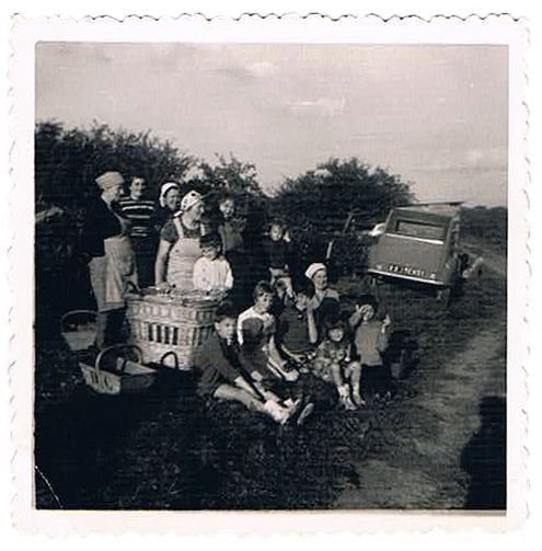 La famille Collin réunit au moment des vendanges en 1959. C'est la pause au pied des vignes avec les paniers en bois et en osier.