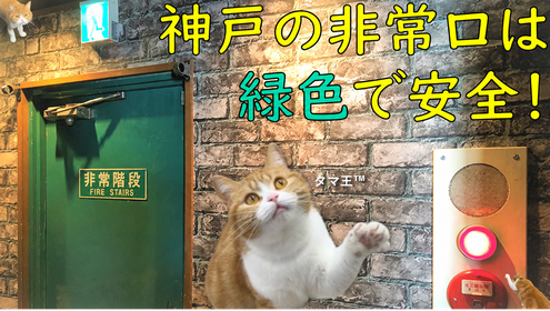 避難口へ通ずる出口は緑色
