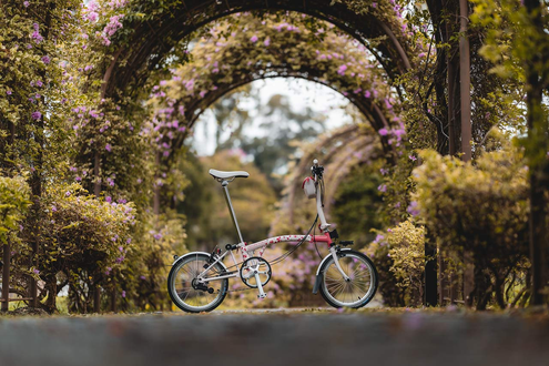 Brompton Cherry Blossom Edition 2025