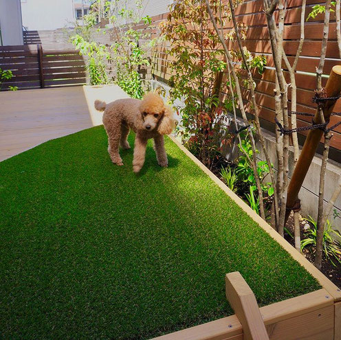 尾張旭市　ドッグラン　ウッドデッキ　人工芝
