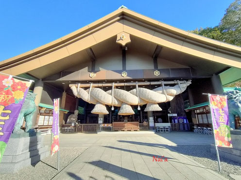 茨城スピリチュアル,茨城ヒーリング整体,盛岡青山整体,八幡平整体,hachimantai ciropractic